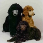 puppies